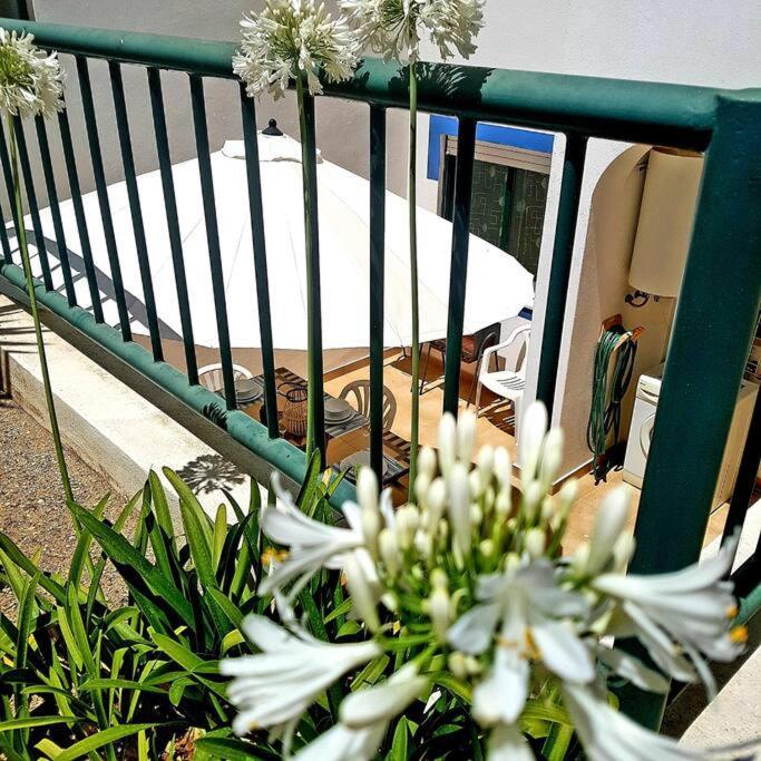 Apartamento Encantador A 100M Da Praia Carvoeiro  Exterior foto